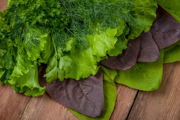 Lettuce, parsley, dill and spinach — Stock Photo, Image