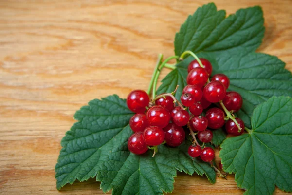 Berries on Wooden Background — Stock Photo, Image