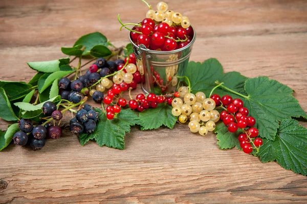 Berries on Wooden Background — Stock Photo, Image