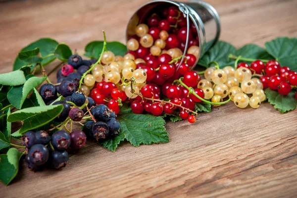 Beeren auf Holzgrund — Stockfoto