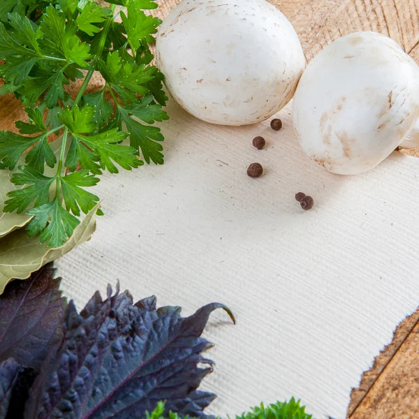 Mushrooms — Stock Photo, Image