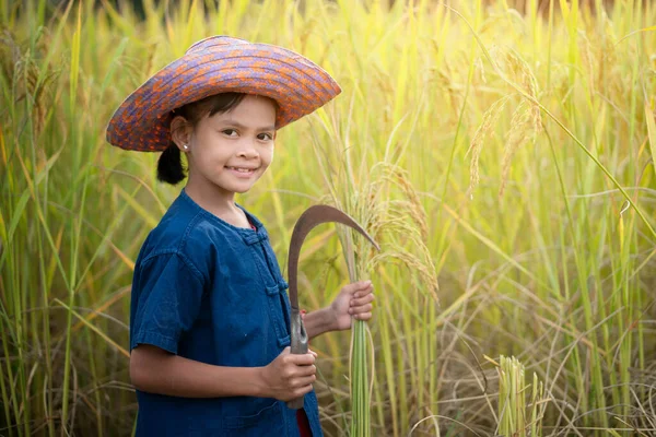 Feliz Chica Asiática Agricultora Cosechando Arroz Campo Arroz Amarillo — Foto de Stock