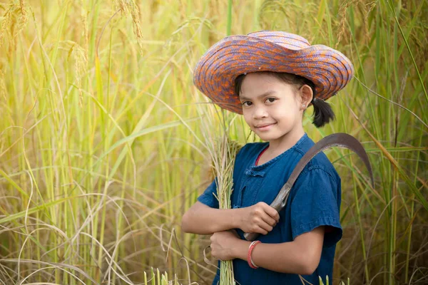 Feliz Chica Asiática Agricultora Cosechando Arroz Campo Arroz Amarillo — Foto de Stock