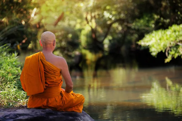 Buddhist Monks Meditate Nature 로열티 프리 스톡 이미지