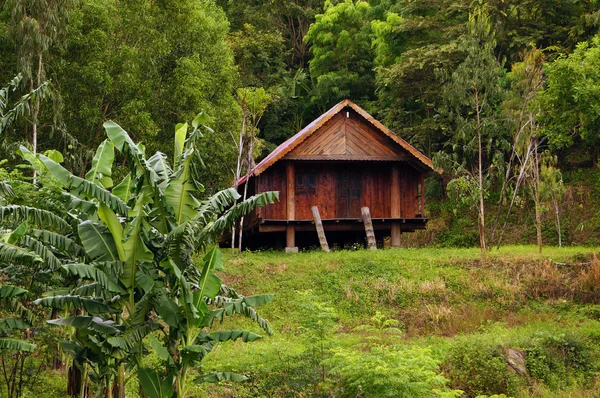 Hus på pålar lokalisera ensam bland naturen scen — Stockfoto