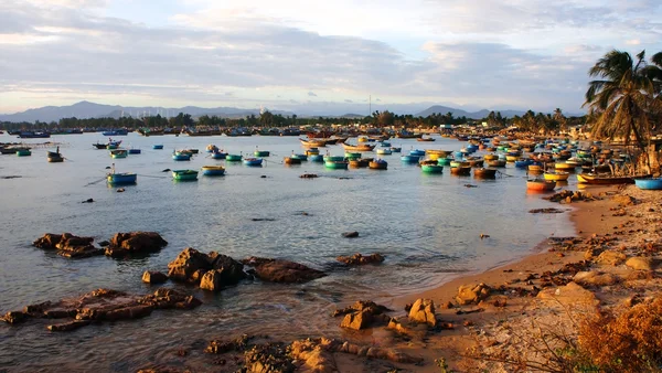 De nombreux types de navires mouillés au port de pêche au coucher du soleil — Photo