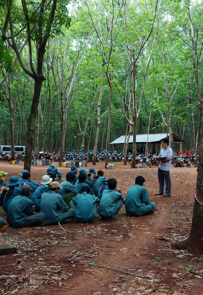 Werknemer op rubber plantage bijeen — Stockfoto