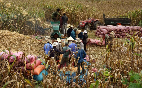 越南-2003 年 9 月 — 图库照片