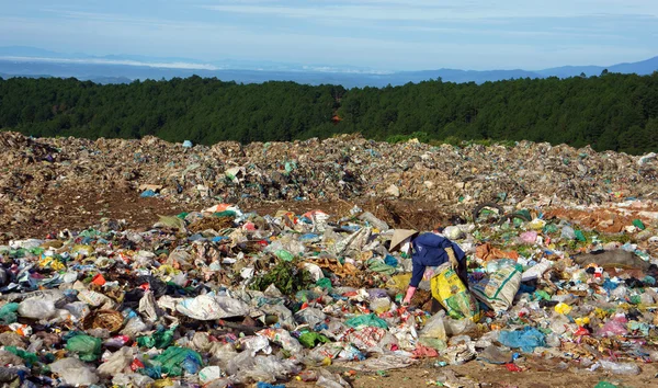 People pick up sweepings at refuse tip — Stock Photo, Image