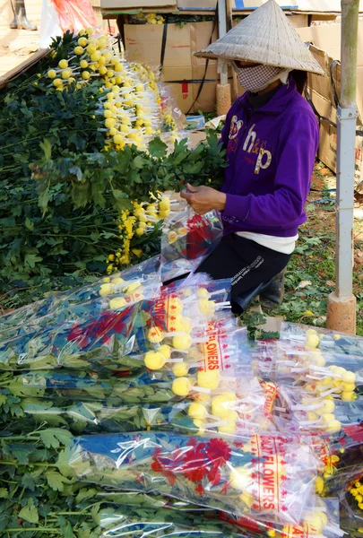 Sukces kwiat zbiorów wietnamski rolnika do tet w Wietnamie — Zdjęcie stockowe