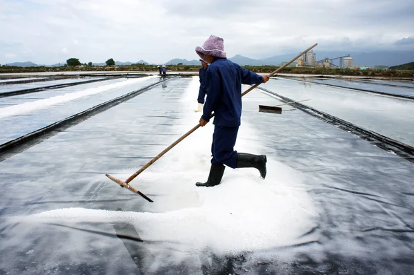 Salt worker working on saline — Stock Photo, Image