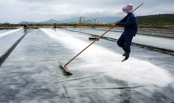 Salt worker working on saline — Stock Photo, Image