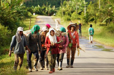 Çiftçi Altın ışık yolu üzerinde yürümek. daklak, Vietnam-4 Eylül