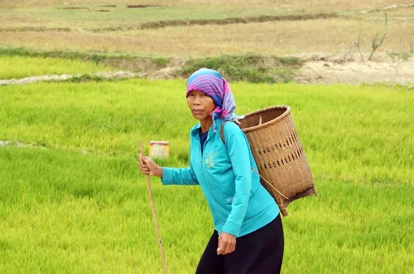 Farmer carry papoose on the road. DAKLAK, VIET NAM- DECEMBER 30 — Stock Photo, Image