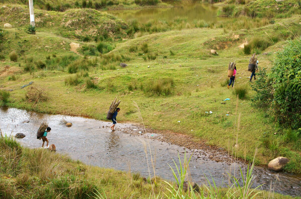 Дети через ручей
