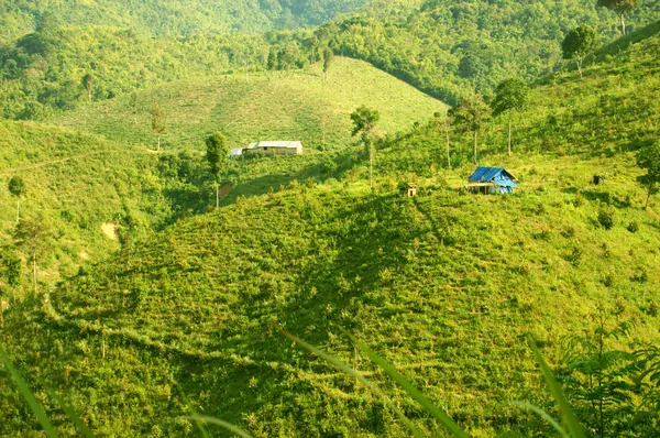 Tepe — Stok fotoğraf