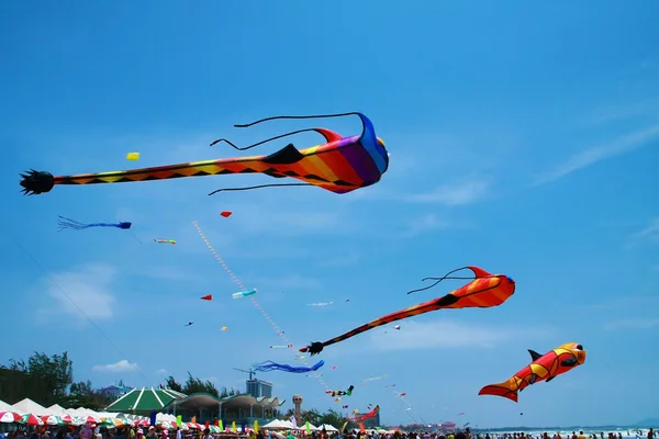 Drachen fliegen in der Luft — Stockfoto