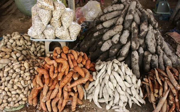 Filati di manioca, bianco e viola in vendita — Foto Stock