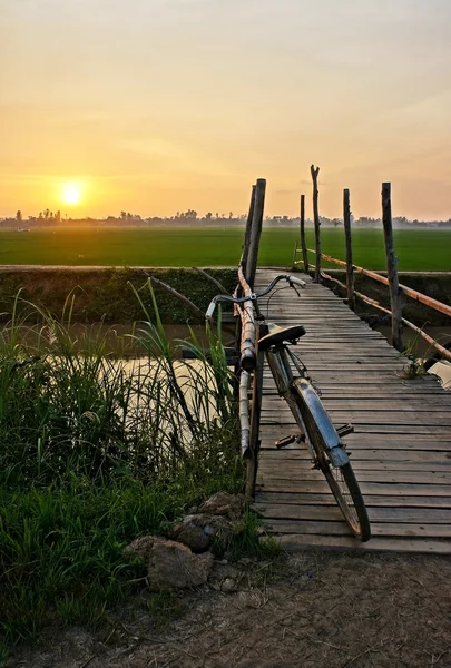 Bicicleta en valla de madera de puente al atardecer —  Fotos de Stock