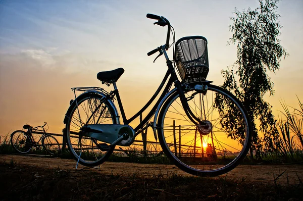 Fahrräder im Sonnenaufgang — Stockfoto