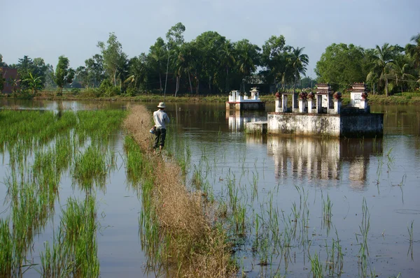 La gente si rilassa con il pesce di fiume sul campo di riso in inondazioni seaso — Foto Stock