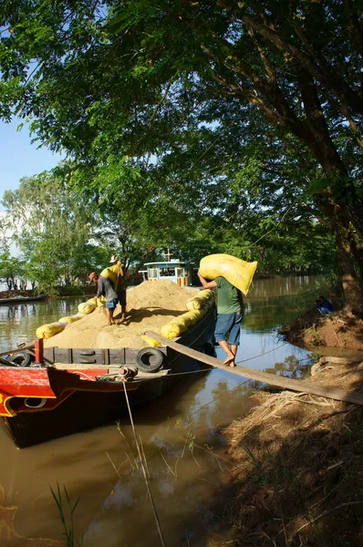 Porter transporter sac de riz jusqu'au bateau — Photo