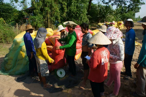 Trader weigh rice sack to buy — Stock Photo, Image