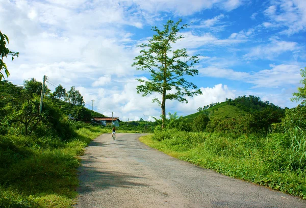 Estrada do campo sob céu azul — Fotografia de Stock