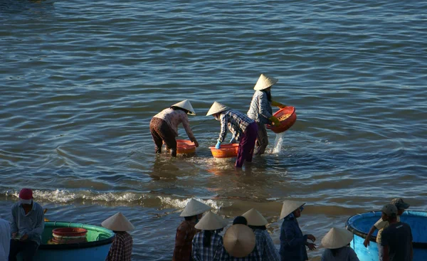 Люди чистят морепродукты на пляже — стоковое фото