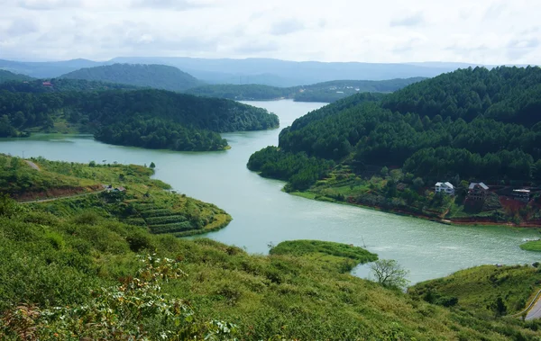 Overview of Tuyen Lam lake from mountain with pine forest,lake a — Stock Photo, Image