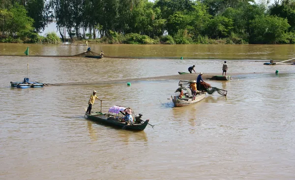 Группа рыбаков ловит рыбу по сети на реке — стоковое фото