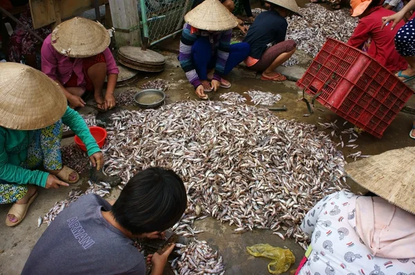 Group of people do fish preparation — Stock Photo, Image