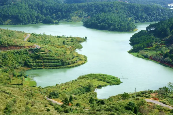 Přehled o tom lam jezero z hory s borovými lesy, jezera — Stock fotografie