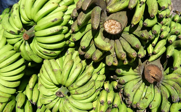 Um bando de bananas. — Fotografia de Stock