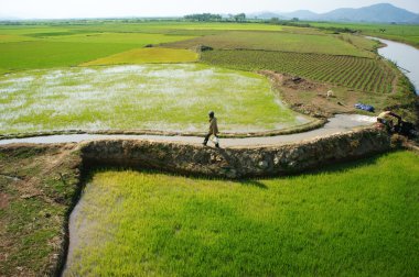 Farmer pump water to paddy field clipart