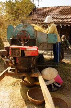 Paddy Tahıl hasat Harman makineleri tarafından çiftçi