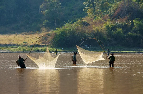 People catch fish by lift net on ditch — Stock Photo, Image