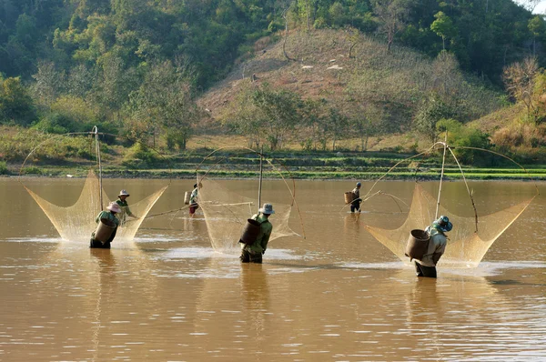 La gente captura peces por la red de elevación en la zanja —  Fotos de Stock