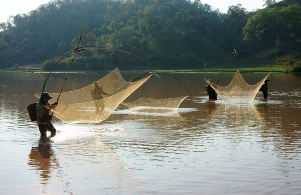 La gente captura peces por la red de elevación en la zanja —  Fotos de Stock