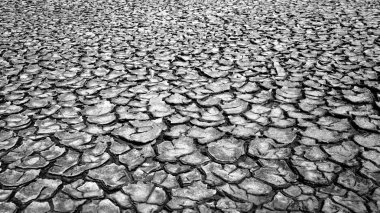 küresel ısınma, kuraklık arazi