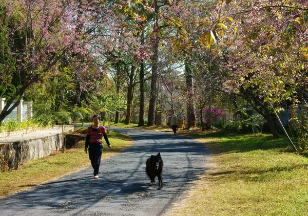 Stile di vita sano, donna a piedi — Foto Stock