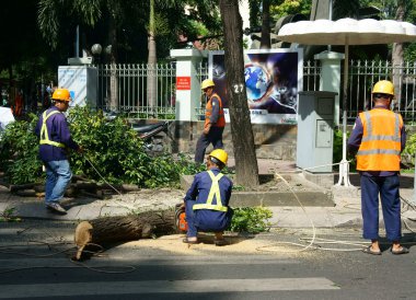 alt ağaç Caddesi'ndeki şube testere ile kesme