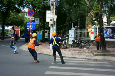 alt ağaç Caddesi'ndeki şube testere ile kesme