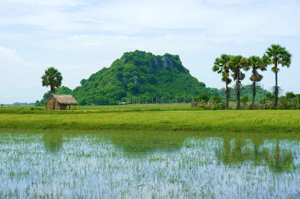 Montanha rochosa, Delta do Mekong, Vietname — Fotografia de Stock