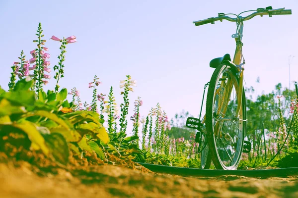 Piękny Krajobraz Dla Lat Podróży Wiosną Żółty Rower Kolorowy Kwiat — Zdjęcie stockowe