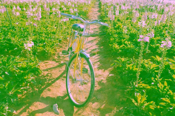 Hermoso Paisaje Para Viaje Lat Primavera Bicicleta Amarilla Colorido Jardín — Foto de Stock