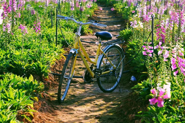Bellissimo Paesaggio Lat Viaggiare Primavera Bici Gialla Nel Colorato Giardino — Foto Stock