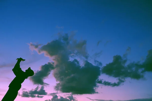 Funny Scene Sunset Silhouette Vietnamese Woman Run Animal Shape Cloud — Stock Photo, Image