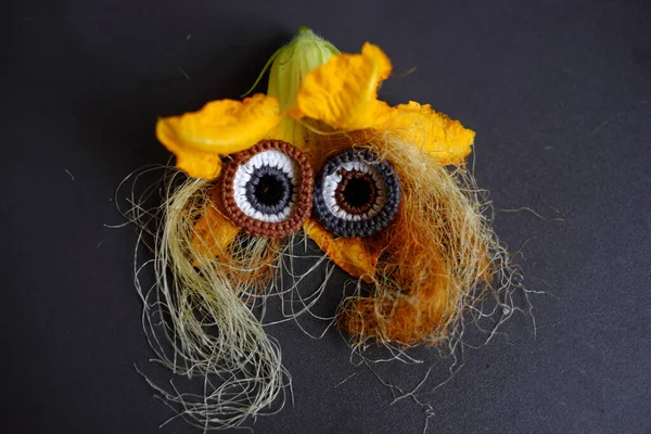 Yemekten yapılmış komik bir yüz, çatı bahçesinden alınmış tarım ürünü, küçük mısır, balkabağı çiçeği, mısır ipeği ve ipekten örülmüş gözler sevimli olur.