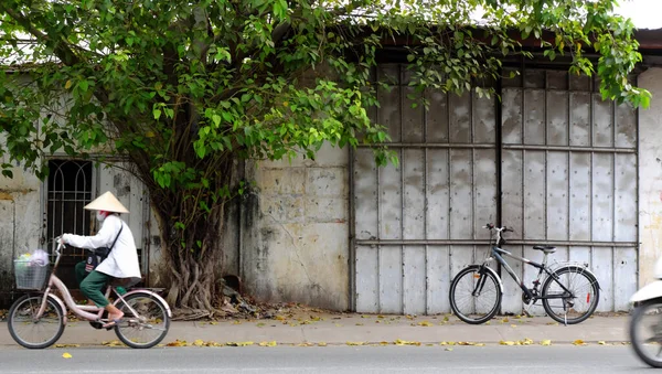 Пейзаж Уличной Жизни Городе Хошимин Велосипед Стены Большим Стволом Дерева — стоковое фото